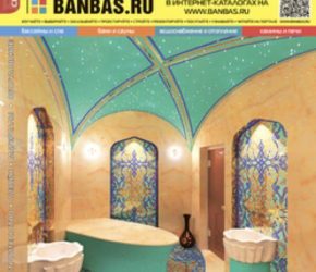 BANBAS 05/2016 | Microwell