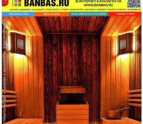 BANBAS 01/2015 | Microwell