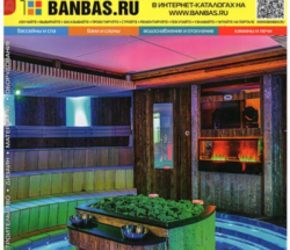 BANBAS 03/2015 | Microwell