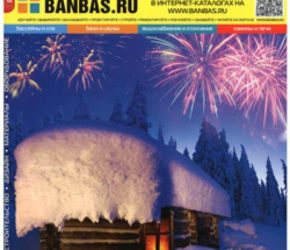 BANBAS 01/2014 | Microwell