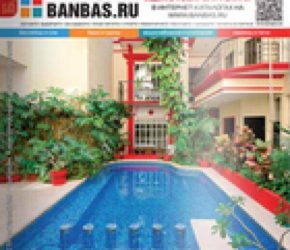 BANBAS 03/2013 | Microwell