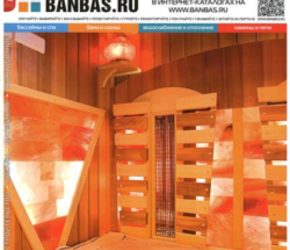 BANBAS 06/2013 | Microwell